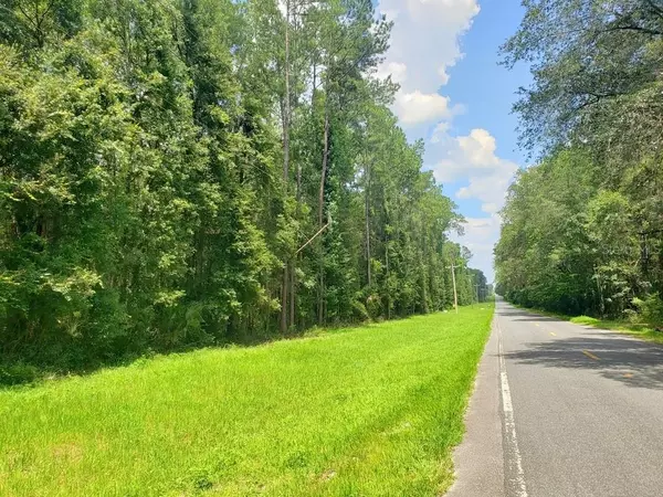 Micanopy, FL 32667