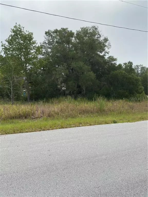 Ocala, FL 34472,0 PINE RADIAL