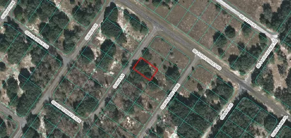 Lot 3 GUAVA LN, Ocklawaha, FL 32179
