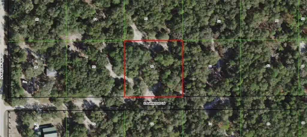 10681 E ASHWOOD LN, Inverness, FL 34450