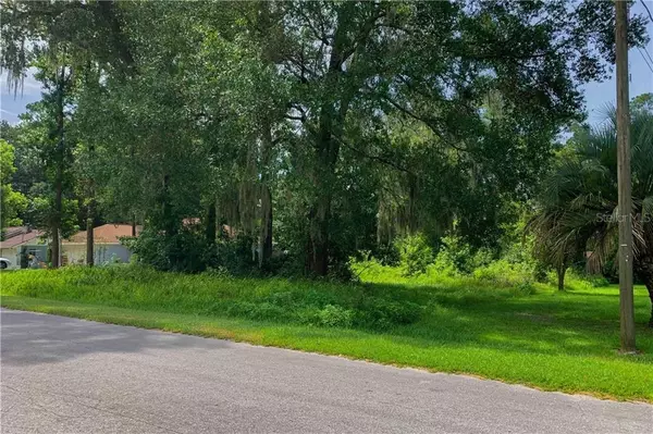 Belleview, FL 34420