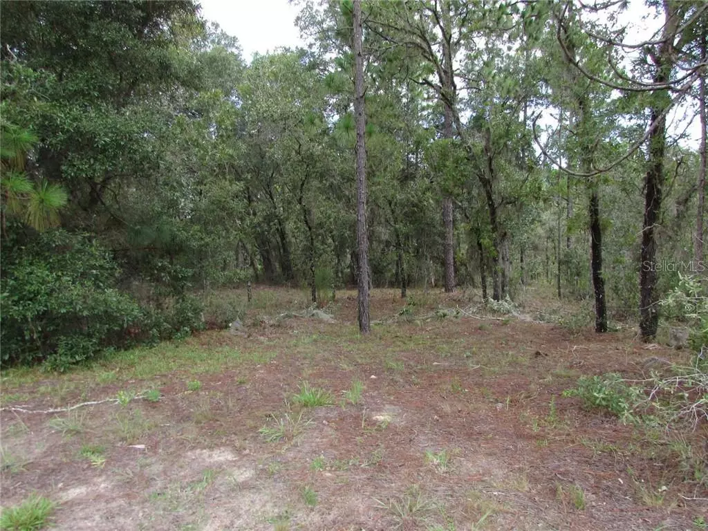 Dunnellon, FL 34432,Lot 3 SW 80TH ST