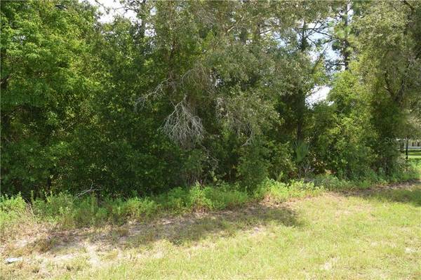 SW 140 AVE, Dunnellon, FL 34432