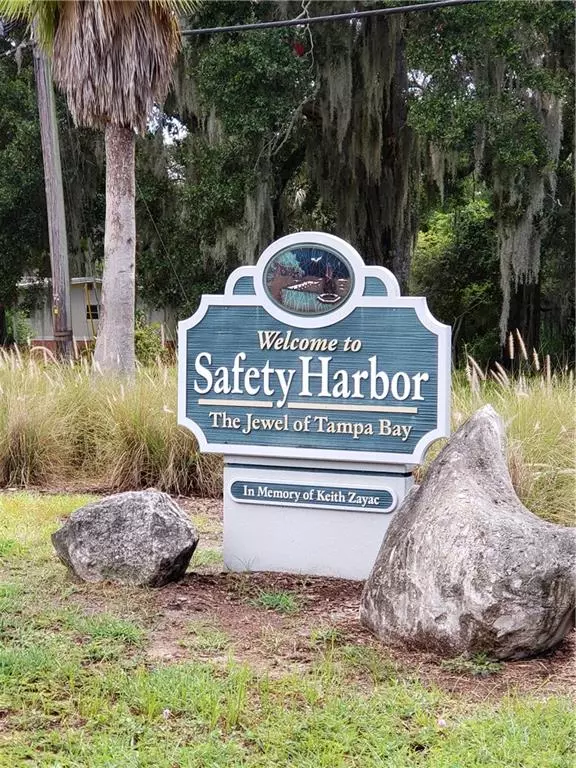 1705 CYPRESS TRACE DR, Safety Harbor, FL 34695