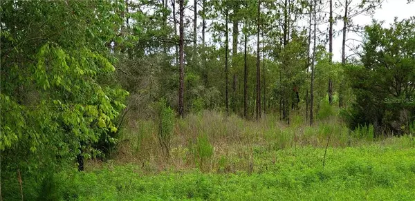 Williston, FL 32696,Lot 24 NE 149 CT