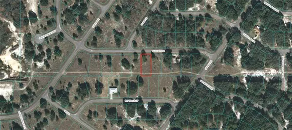 TBD 167TH, Silver Springs, FL 34488