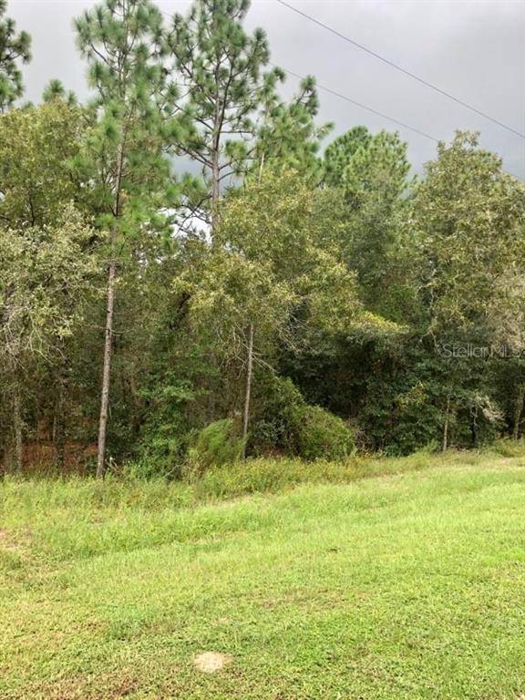 TBD SW 73RD ST, Dunnellon, FL 34432