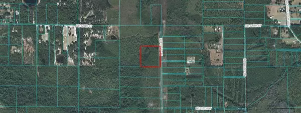 Fort Mc Coy, FL 32134,00 NE 125 AVE