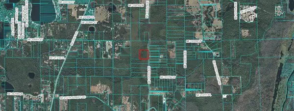 Fort Mc Coy, FL 32134,00 NE 125 AVE