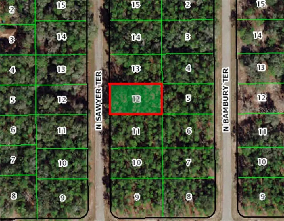 Citrus Springs, FL 34434,8771 N SAWYER TER