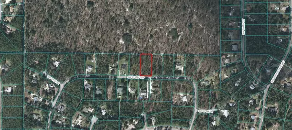 Dunnellon, FL 34431,0 SW 211TH CIR