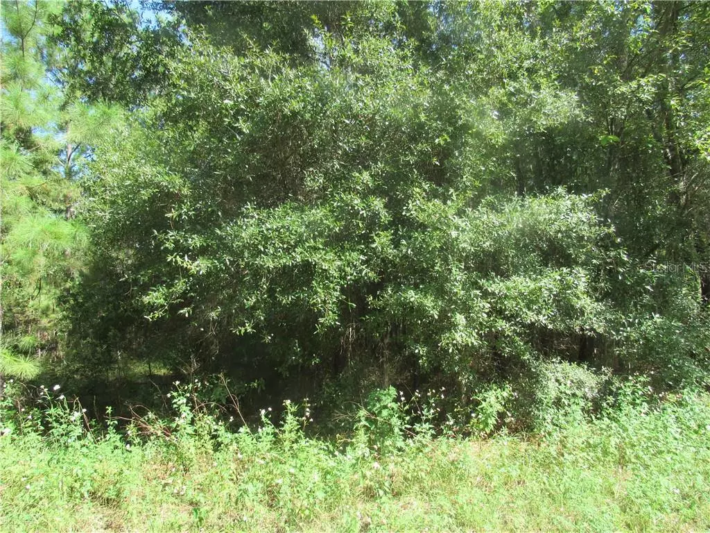 Dunnellon, FL 34432,LOT 7 SW 197TH COURT RD