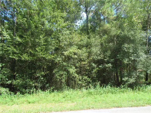 Dunnellon, FL 34432,LOT 7 SW 197TH COURT RD