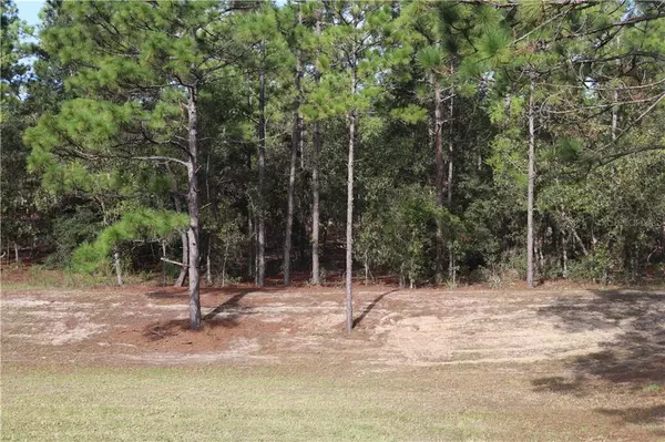 Dunnellon, FL 34432,125 CT RD