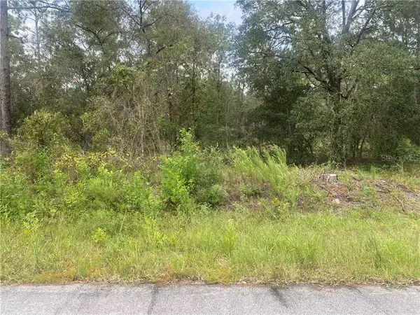 LOT 32 NW SMALLWOOD RD, Dunnellon, FL 34431