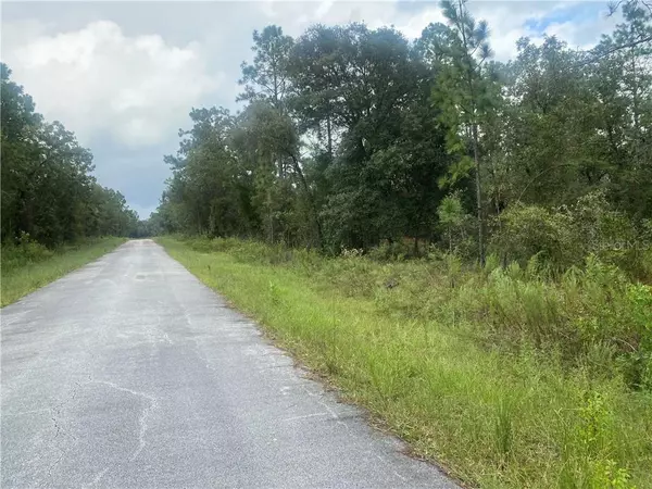 Dunnellon, FL 34431,LOT 32 NW SMALLWOOD RD