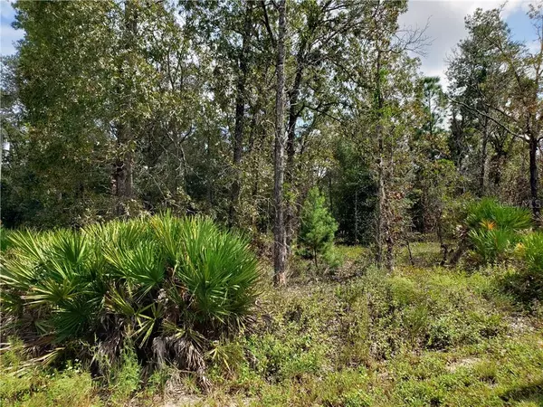 Ocklawaha, FL 32179,Lot 1 GUAVA PL