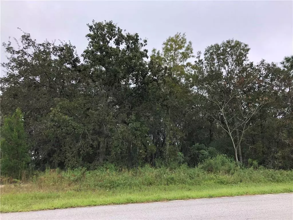 Ocala, FL 34476,TBD SW 115 LOOP