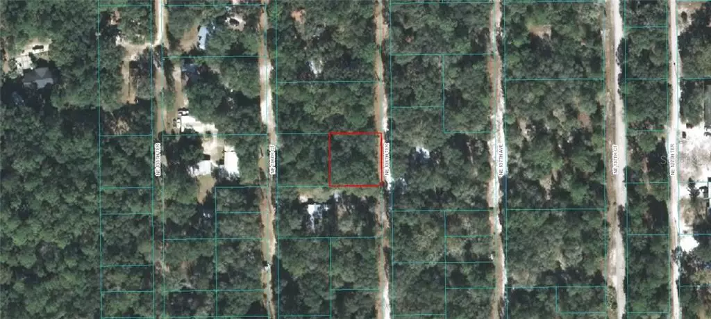 00 NE 36TH TER, Fort Mc Coy, FL 32134