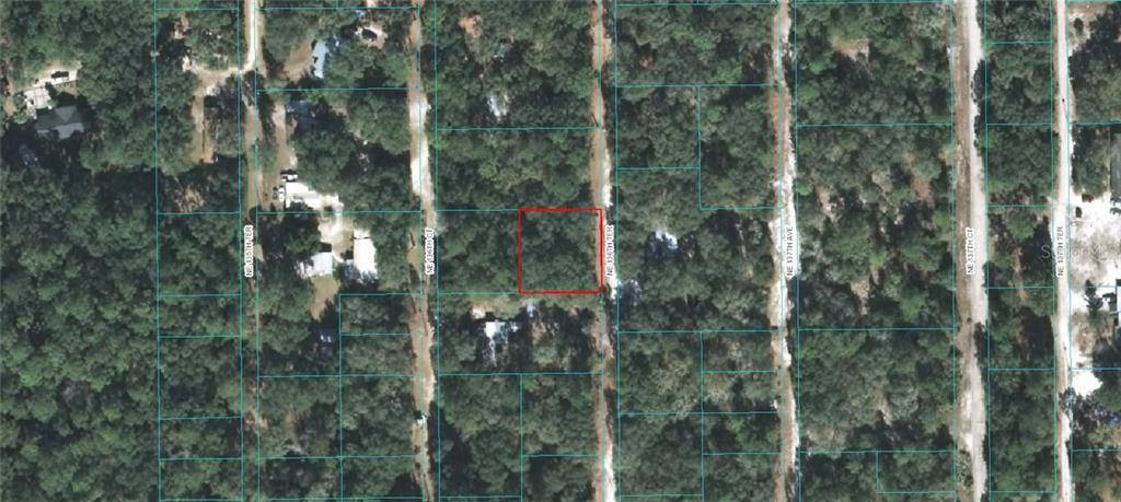 00 NE 36TH TER, Fort Mc Coy, FL 32134