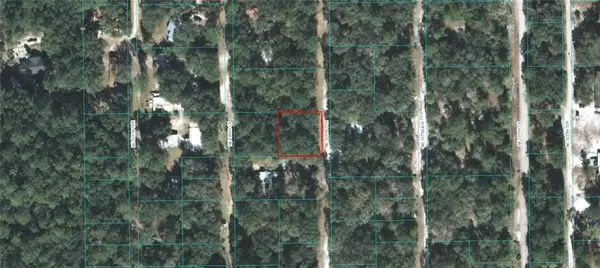 Fort Mc Coy, FL 32134,00 NE 36TH TER