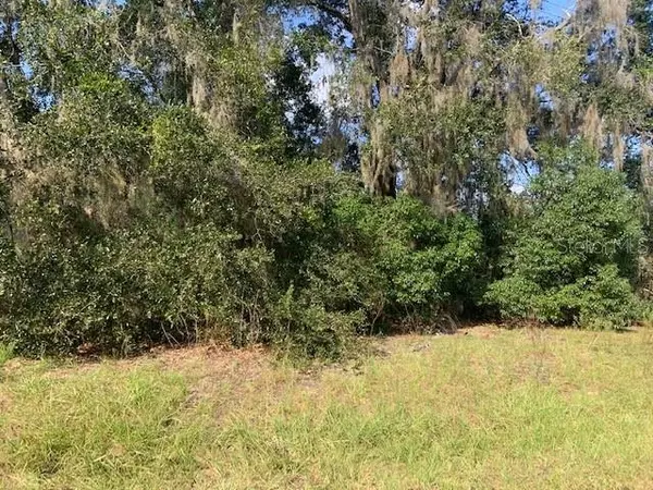 TBD LOCUST RAD CIR, Ocala, FL 34472