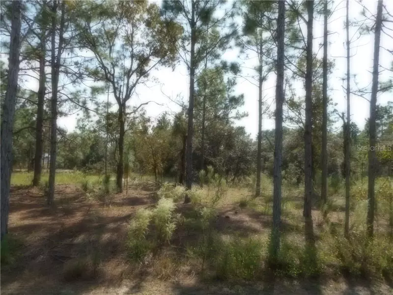 Lot 12 SURF BLVD, Dunnellon, FL 34431