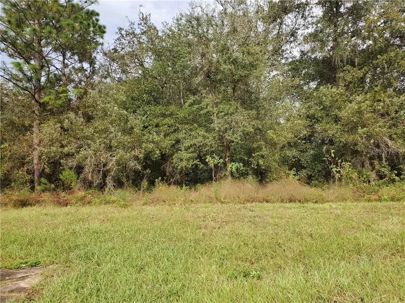 TBD SW MARION OAKS MNR, Ocala, FL 34473