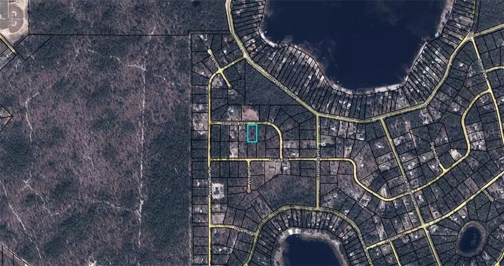 5785 BITTERROOT ST, Keystone Heights, FL 32656