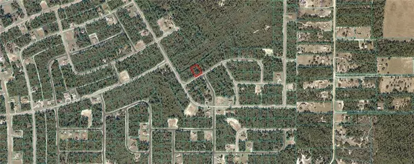 Ocala, FL 34473,0000 SW 176TH LANE ROAD