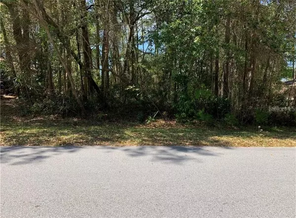 Dunnellon, FL 34432,TBD SW 85TH LOOP