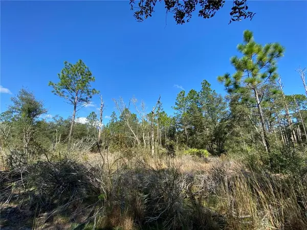 TBD NE 67TH ST, Bronson, FL 32621