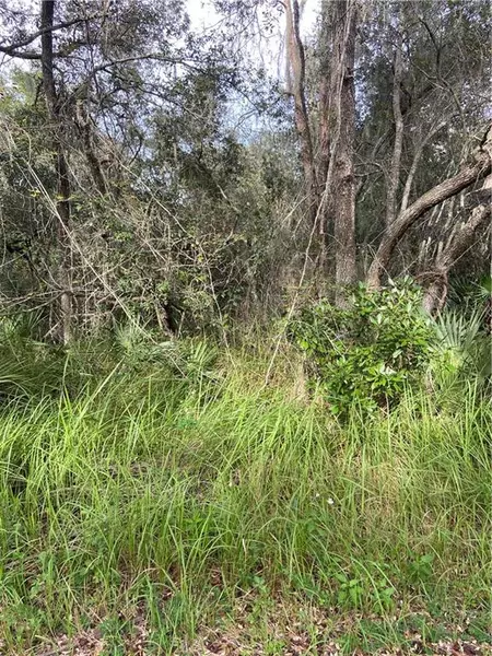 JUNIPER RUN, Ocala, FL 34480