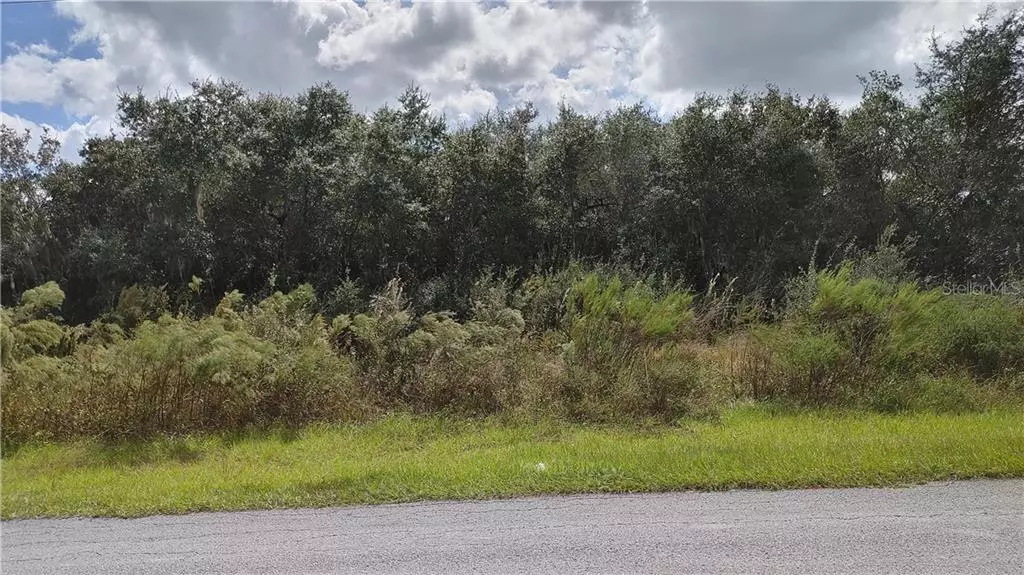 TBD SW 100TH ST, Ocala, FL 34476