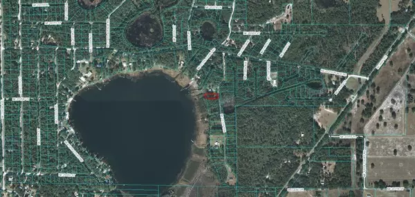 Fort Mc Coy, FL 32134,23310 NE 117TH TER