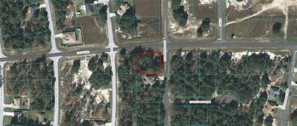 00 LOCUST PASS LOOP, Ocala, FL 34472