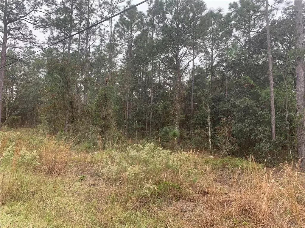 Dunnellon, FL 34431,00 NW BUENA VISTA RD #Lot 1