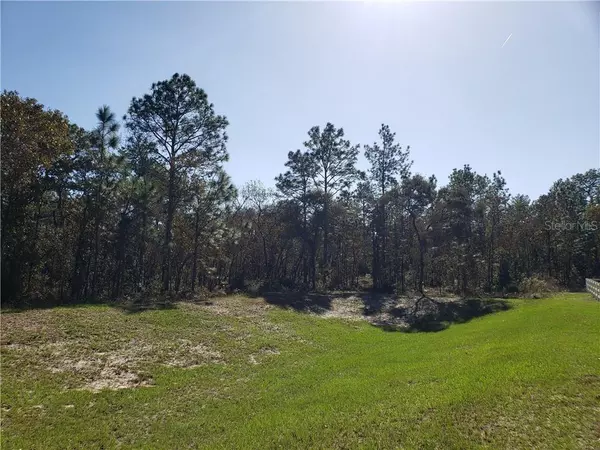 Dunnellon, FL 34432,Lot 11 SW 93RD ST