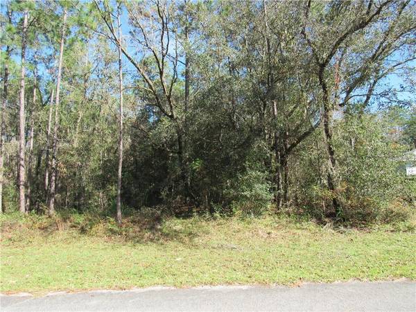 0000 SW 87TH LOOP, Dunnellon, FL 34431