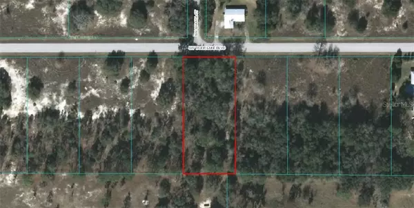 Dunnellon, FL 34431,Lot 5 SW TIGER LAKE BLVD