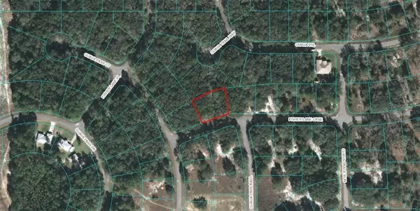 Lot 10 FISHER LANE CRSE, Ocklawaha, FL 32179