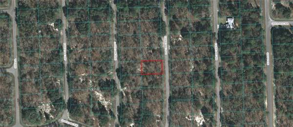 00 FISHER LANE TRAK, Ocklawaha, FL 32179