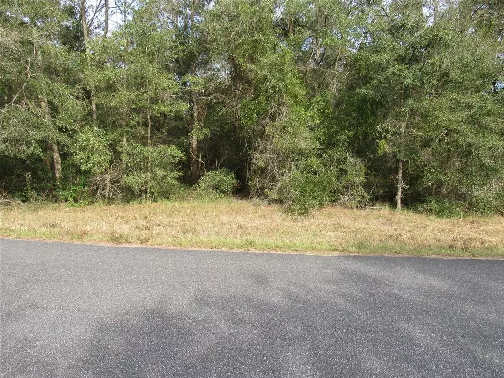 Dunnellon, FL 34431,0000 SW 207 CIR