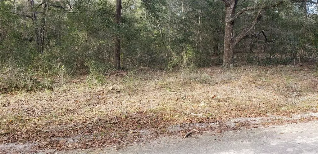 Dunnellon, FL 34432,TBD ST. PETER DR