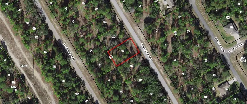 Citrus Springs, FL 34434,9318 N PINEVIEW WAY