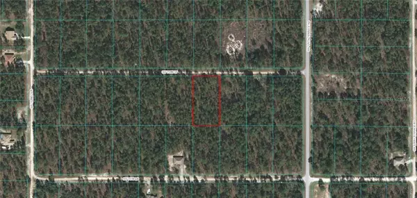 Dunnellon, FL 34432,0 SW 75 STREET