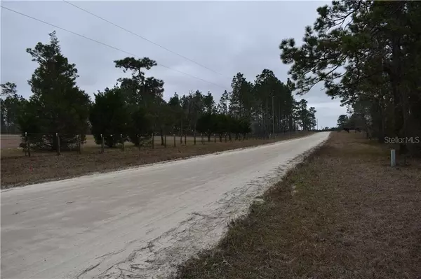 Morriston, FL 32668,Lot 43 TBD SE 140TH AVE