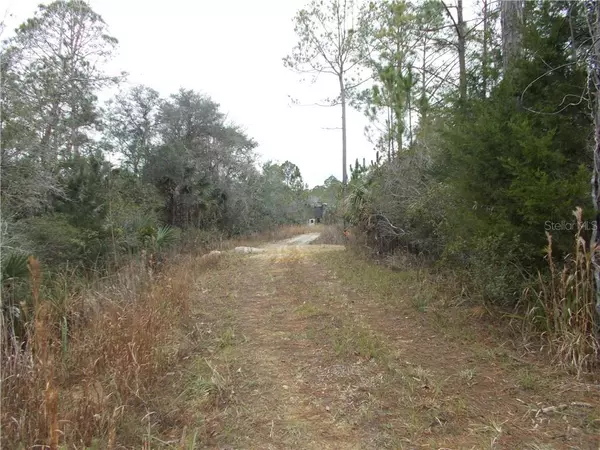 Chiefland, FL 32626,50.91 Acres SW FOX TROT