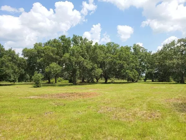 Orange Springs, FL 32182,Lot 3 (10ac) NE HIGHWAY 315 HWY