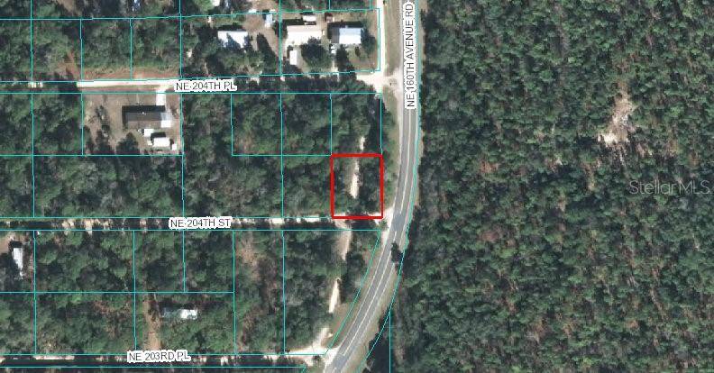 00 NE 204TH ST, Fort Mc Coy, FL 32134